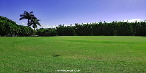The Wanderers Club